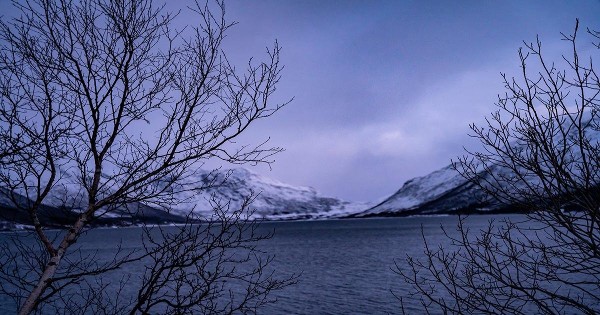Arctic Fjords Sightseeing Adventure In Small Group Of Max 8 Participants – photo 3